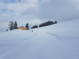 20180212_133653