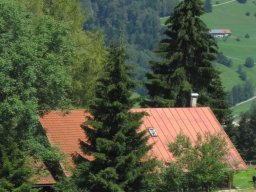 img_0948