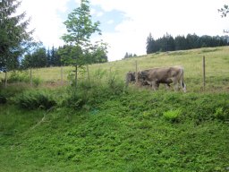 img_1013