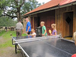 img_1016